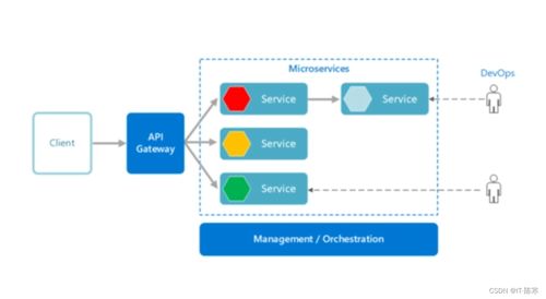 微服務(wù)如何改變軟件開(kāi)發(fā) 實(shí)戰(zhàn)經(jīng)驗(yàn)與最佳實(shí)踐分享