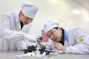 提升貧困人口醫療保障水平 技術開發賦能醫療救助新篇章